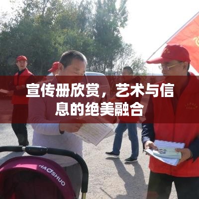 宣傳冊(cè)欣賞，藝術(shù)與信息的絕美融合