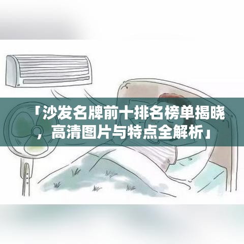 「沙發(fā)名牌前十排名榜單揭曉，高清圖片與特點全解析」