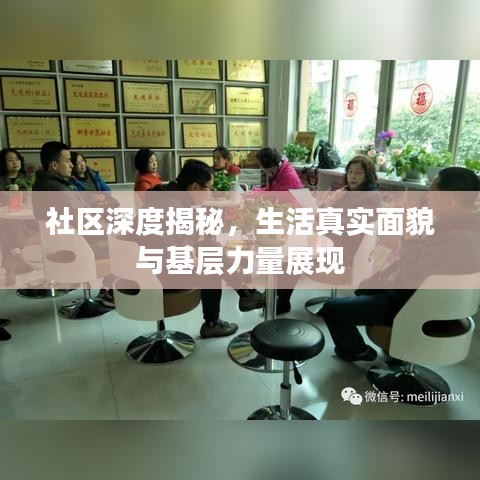社區(qū)深度揭秘，生活真實(shí)面貌與基層力量展現(xiàn)