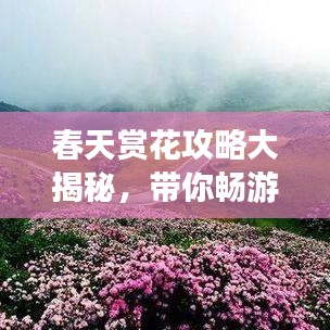 春天賞花攻略大揭秘，帶你暢游花海世界！