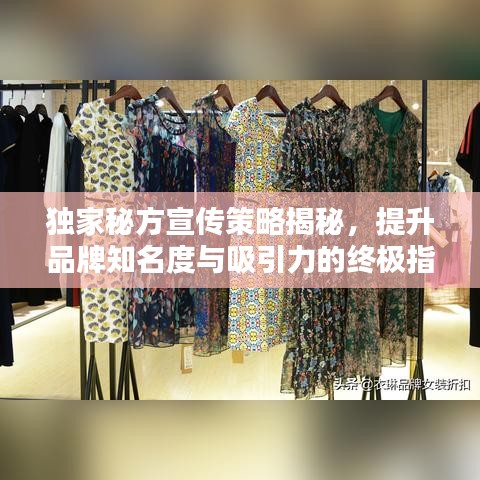 獨家秘方宣傳策略揭秘，提升品牌知名度與吸引力的終極指南