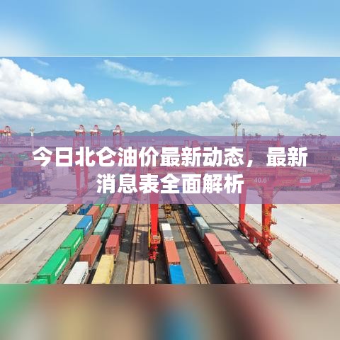 今日北侖油價最新動態(tài)，最新消息表全面解析
