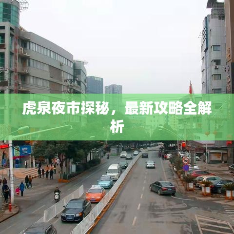 虎泉夜市探秘，最新攻略全解析
