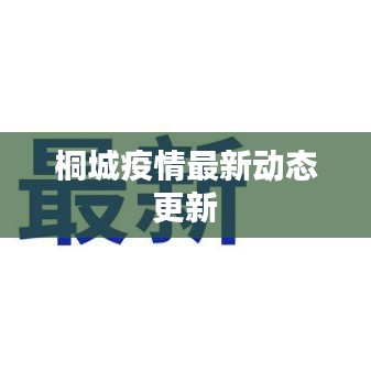 桐城疫情最新動態(tài)更新