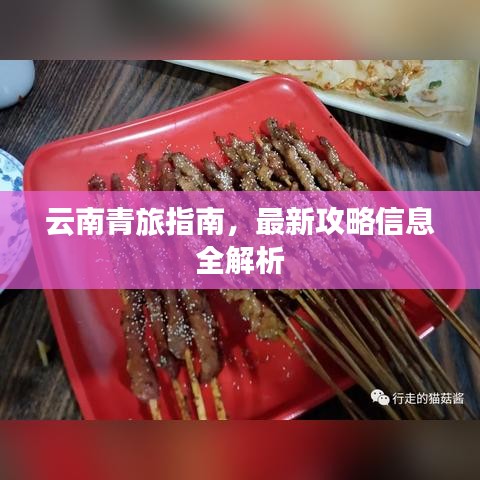 云南青旅指南，最新攻略信息全解析