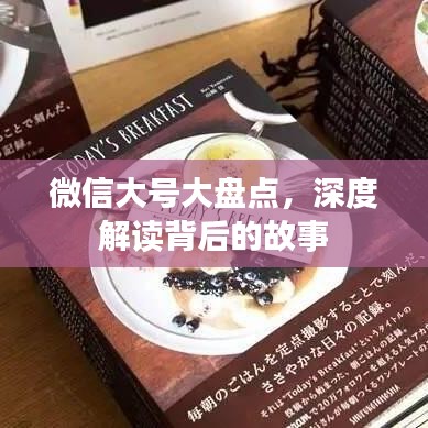 微信大號(hào)大盤點(diǎn)，深度解讀背后的故事
