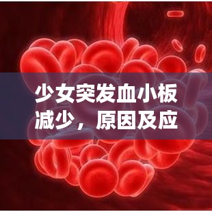 少女突發(fā)血小板減少，原因及應對方法解析