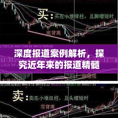 深度報道案例解析，探究近年來的報道精髓