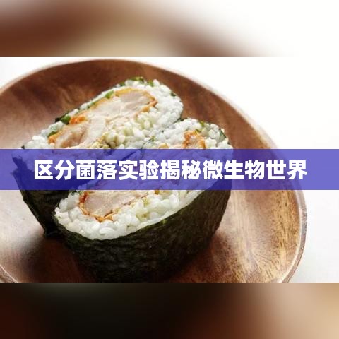 區(qū)分菌落實驗揭秘微生物世界