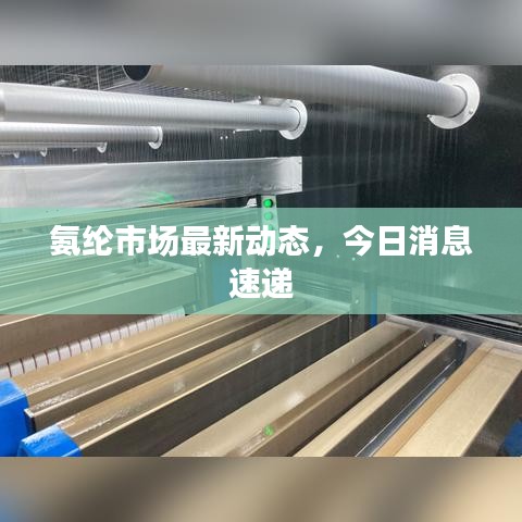氨綸市場(chǎng)最新動(dòng)態(tài)，今日消息速遞