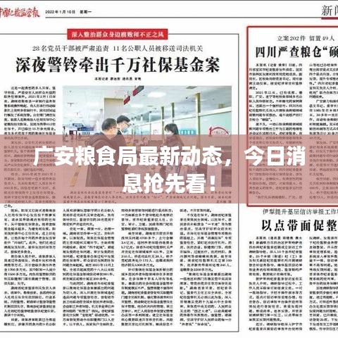 廣安糧食局最新動(dòng)態(tài)，今日消息搶先看！