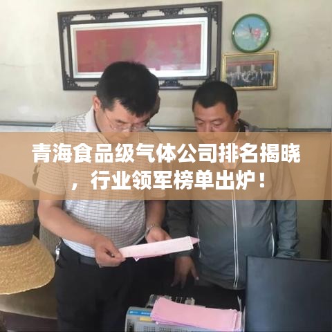 青海食品級氣體公司排名揭曉，行業(yè)領(lǐng)軍榜單出爐！
