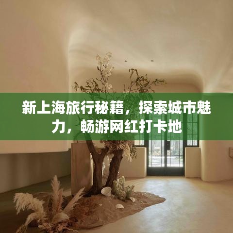 新上海旅行秘籍，探索城市魅力，暢游網(wǎng)紅打卡地