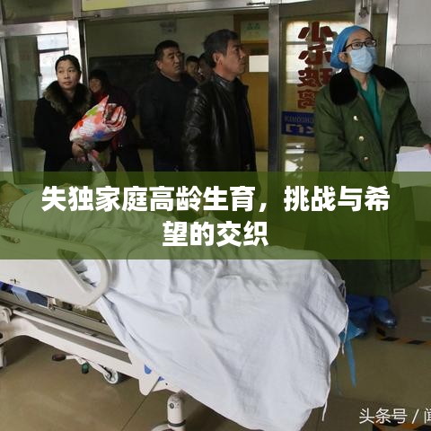 失獨(dú)家庭高齡生育，挑戰(zhàn)與希望的交織