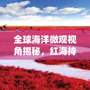 全球海洋微觀視角揭秘，紅海持續(xù)擴(kuò)張的神秘力量