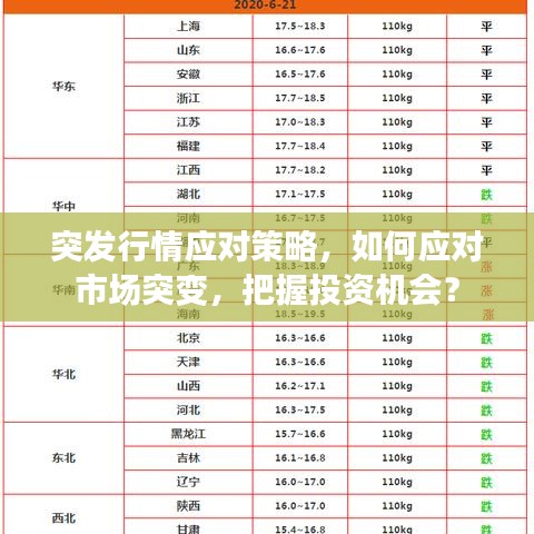 突發(fā)行情應對策略，如何應對市場突變，把握投資機會？