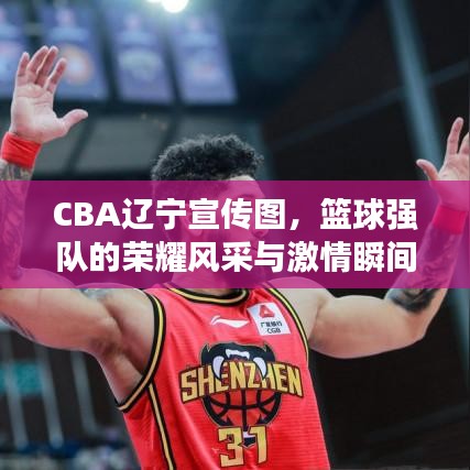 CBA遼寧宣傳圖，籃球強隊的榮耀風(fēng)采與激情瞬間