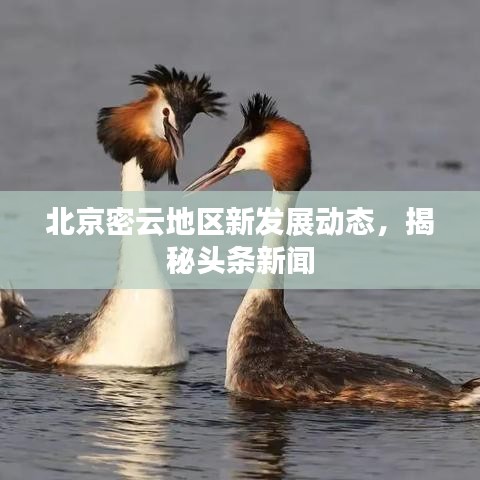 北京密云地區(qū)新發(fā)展動(dòng)態(tài)，揭秘頭條新聞