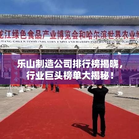 樂山制造公司排行榜揭曉，行業(yè)巨頭榜單大揭秘！