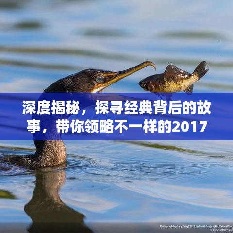 深度揭秘，探尋經(jīng)典背后的故事，帶你領(lǐng)略不一樣的2017年