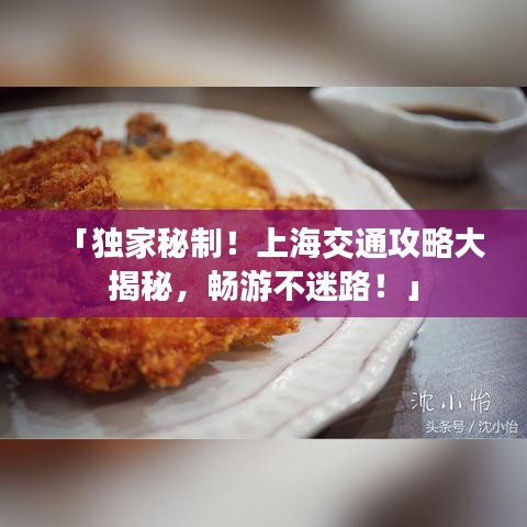 「獨(dú)家秘制！上海交通攻略大揭秘，暢游不迷路！」