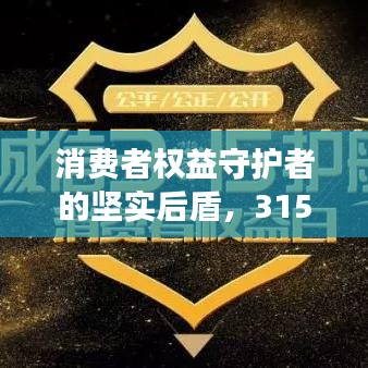 消費者權(quán)益守護(hù)者的堅實后盾，315宣傳圖片海報模板展示