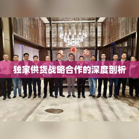 獨家供貨戰(zhàn)略合作的深度剖析