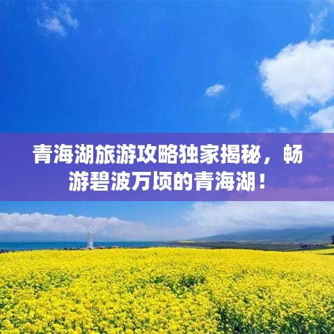 青海湖旅游攻略獨家揭秘，暢游碧波萬頃的青海湖！