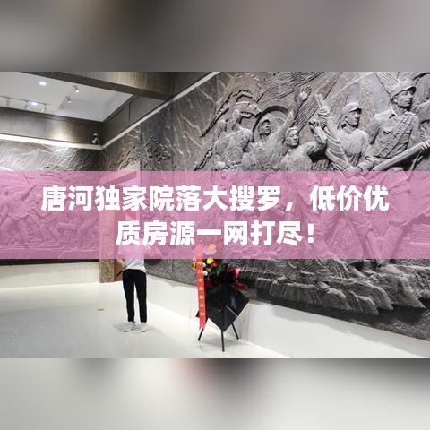 唐河獨家院落大搜羅，低價優(yōu)質房源一網打盡！