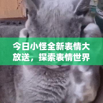 今日小怪全新表情大放送，探索表情世界的無限魅力！