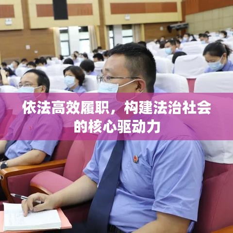 依法高效履職，構(gòu)建法治社會(huì)的核心驅(qū)動(dòng)力