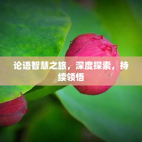 論語智慧之旅，深度探索，持續(xù)領(lǐng)悟