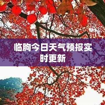 臨朐今日天氣預(yù)報實時更新
