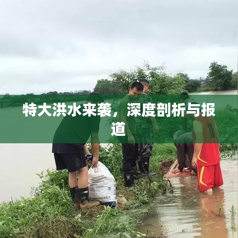 特大洪水來襲，深度剖析與報道