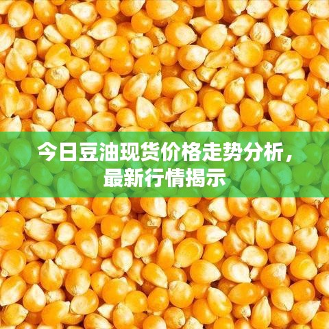 今日豆油現(xiàn)貨價(jià)格走勢(shì)分析，最新行情揭示