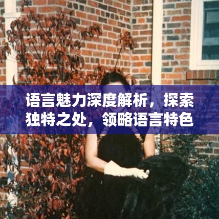 語言魅力深度解析，探索獨特之處，領略語言特色專題的魅力