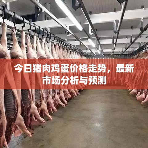 今日豬肉雞蛋價格走勢，最新市場分析與預測