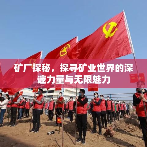 礦廠探秘，探尋礦業(yè)世界的深邃力量與無(wú)限魅力