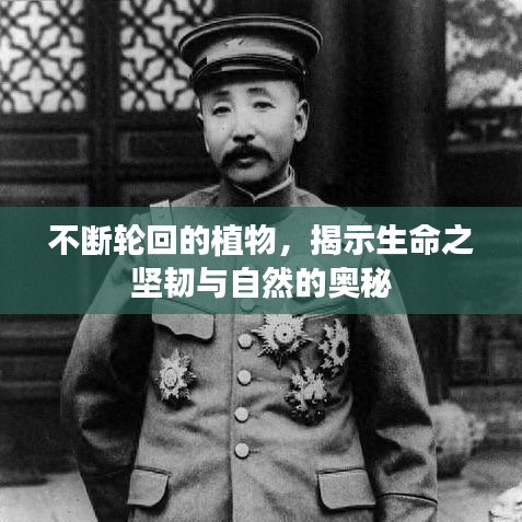 不斷輪回的植物，揭示生命之堅(jiān)韌與自然的奧秘