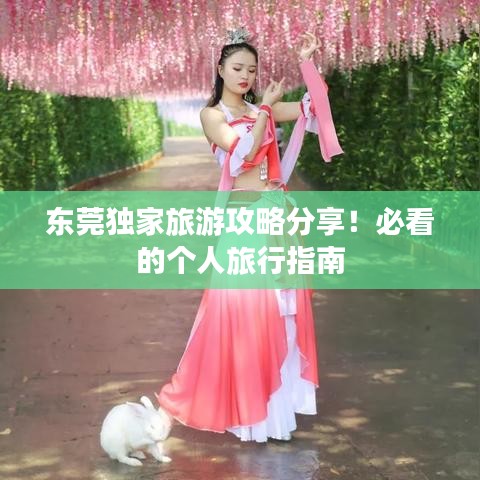 東莞獨家旅游攻略分享！必看的個人旅行指南