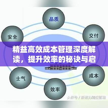 精益高效成本管理深度解讀，提升效率的秘訣與啟示