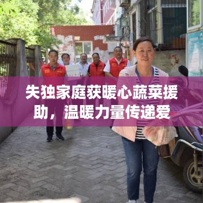 失獨(dú)家庭獲暖心蔬菜援助，溫暖力量傳遞愛