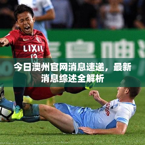 今日澳州官網(wǎng)消息速遞，最新消息綜述全解析