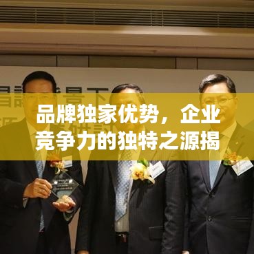 品牌獨家優(yōu)勢，企業(yè)競爭力的獨特之源揭秘