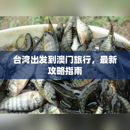 臺灣出發(fā)到澳門旅行，最新攻略指南