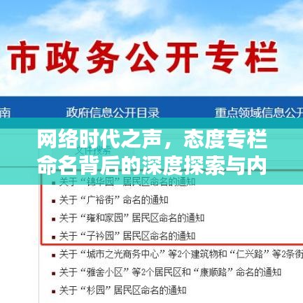 網(wǎng)絡(luò)時(shí)代之聲，態(tài)度專欄命名背后的深度探索與內(nèi)涵解析