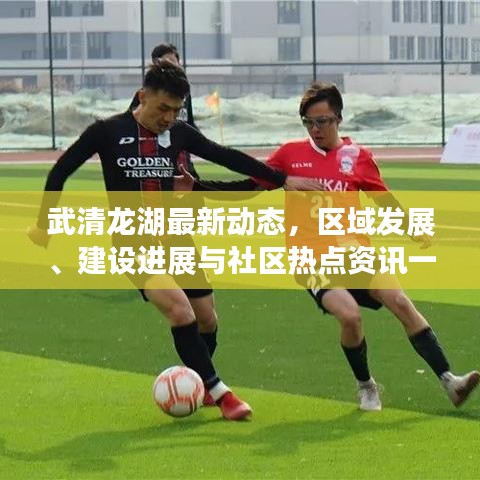 武清龍湖最新動態(tài)，區(qū)域發(fā)展、建設(shè)進(jìn)展與社區(qū)熱點資訊一網(wǎng)打盡