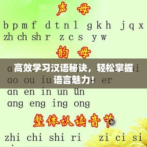 高效學(xué)習(xí)漢語(yǔ)秘訣，輕松掌握語(yǔ)言魅力！