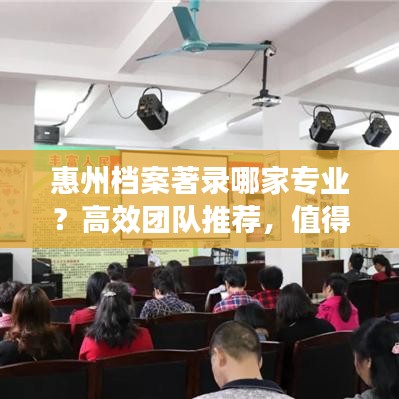 惠州檔案著錄哪家專業(yè)？高效團隊推薦，值得信賴！