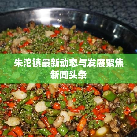 朱沱鎮(zhèn)最新動態(tài)與發(fā)展聚焦新聞頭條